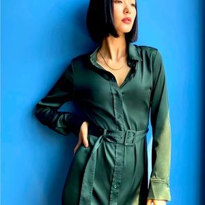 Satin Aritzia Babaton dress
